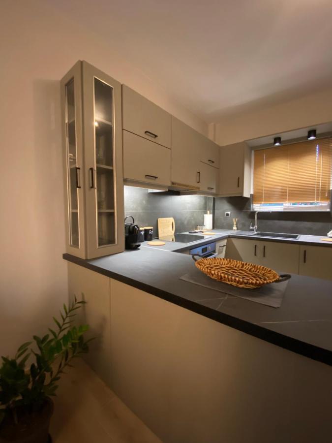 Cozy Flat Elix Apartment Lefkandi Chalkidas Bagian luar foto